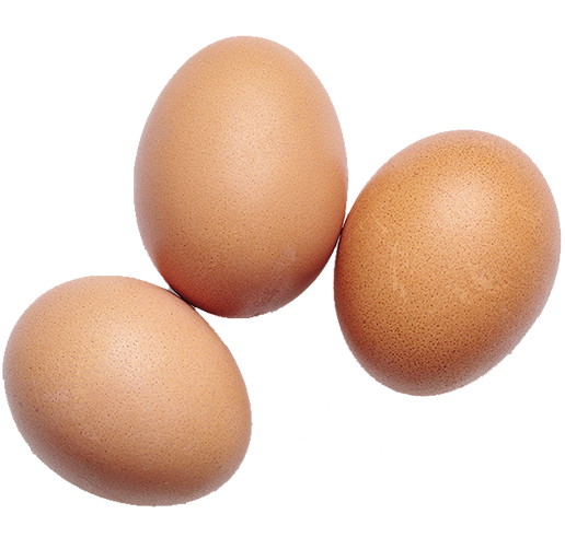 Eggs info-e